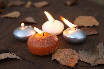 Candles burning on stump in autumn time. Autumn composition with candles and leaves outdoor.