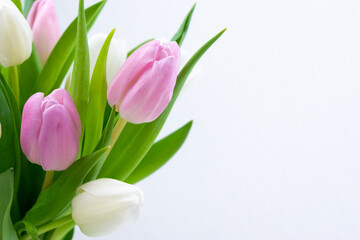 Bouquet of fresh natural white and purple tulips close up. Greeting card.