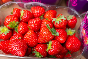 colorful summer and winter fruits strawberries blackberries and large and small mushroom varieties