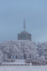 A large and impressive building is majestically sitting atop a snowcovered hill, which is beautifully surrounded by numerous snowcovered trees