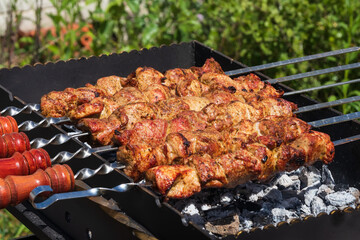 Cooking on Mangal (barbecue, grill). Shashlik or shashlyck is a dish of skewered and grilled cubes of meat, which are roasted on hot coals