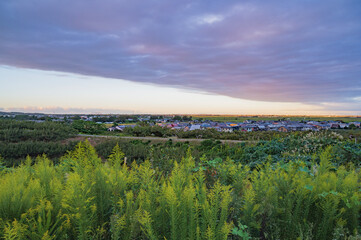 Fototapeta premium 新潟 峰岡丘陵からの景色