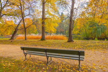 Poland capital city Warsaw Royal Lazienki Park trees decorated with autumn colors and leaves and flowers with detail shots