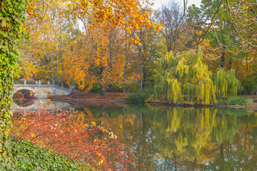 Poland capital city Warsaw Royal Lazienki Park trees decorated with autumn colors and leaves and flowers with detail shots