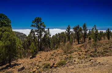 Gebirge auf Teneriffa