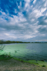 Fototapeta premium A lake with green water and a cloudy sky in the background