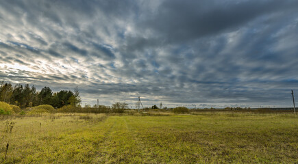 A field of grass with a cloudy sky in the background