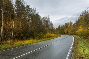 A road with trees on either side and a few cars on it