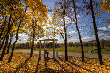 A park with a bench and a gazebo