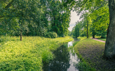 A river runs through a lush green forest