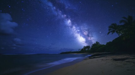 Milky Way over a Tropical Beach at Night