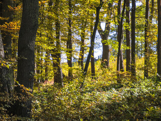 Autumn view of Plana Mountain, Bulgaria