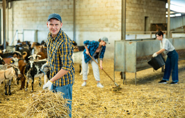 Farmer does the cleaning in the goat shed