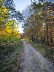 Obraz premium Autumn view of Plana Mountain, Bulgaria