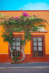 Facade of a colonial building in Tequisquiapan, Queretaro. The vibrant colors contrast against the blue sky and the colorful bougainvillea flowers next to its wall.