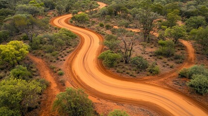 A dirt road with a curve in it. The road is surrounded by trees. The road is very bumpy