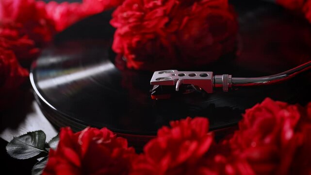 Classic vinyl record playing with red roses flowers background. Romantic collection, turntable spin, analog sound, beautiful music for love. LP, vintage aesthetics.