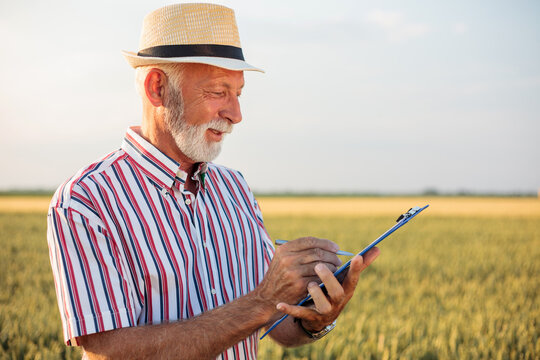 Smiling senior farmer or agronomist filling out questionnaire while inspecting large organic farm. Healthy food production.