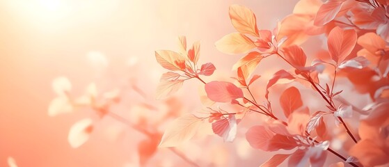 Fototapeta premium A close-up of delicate leaves in soft pastel hues, illuminated by warm sunlight, creating a serene and tranquil atmosphere.