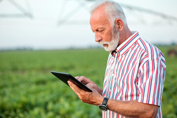 Serious senior agronomist or farmer using a tablet in soybean field. Irrigation system blurred in background