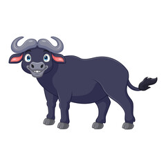 Cartoon African buffalo isolated on white background