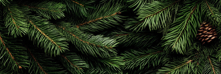 Close-up of lush green pine branches with a pine cone.