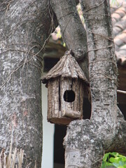 Casa de aves