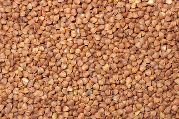 Fototapeta premium Dry Uncooked Brown Buckwheat Groats Background - Top View, Flat Lay. Raw Large Buckwheat Grains. Russian, Ukrainian and Belarusian Culture