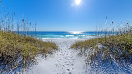 Serene beach pathway leading to the tranquil ocean view