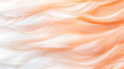 Soft pastel feathers gently blended in shades of orange and white create a serene background perfect for delicate designs