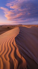Sand dunes stretching under a colorful sunset sky in the desert