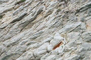 Light Coastal Rock Texture: Natural Stone Detail by the Shore