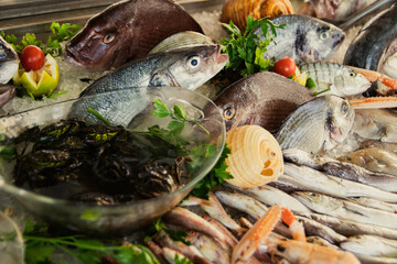 Seafood Display