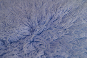 close up of blue carpet fur