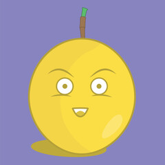 passion fruit vector illustration