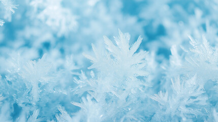 Icy Blue Frost: Delicate, crystalline frost patterns in shades of icy blue create a serene and captivating winter scene. Perfect for winter themes, holiday designs, and nature-inspired projects. 