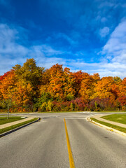 Fototapeta premium Colors of autumn in 2024. Amazing views of vibrant fall colors in Canada as seen by the naked eye and taken via iphone15 pro max.