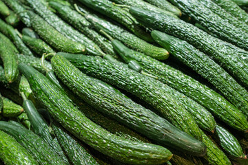 Long Chinese cucumbers close up in the market.