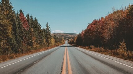 Fototapeta premium Serene Open Road Through Autumn Forest Landscape