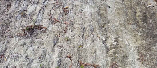 Abstract stone texture, cliff edge
