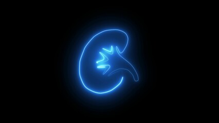 Neon human kidney icon on black background.