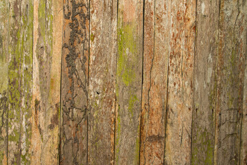 Wood aged by exposure to sun and rain. The wood shows signs of chipped aging.  wood showing its...