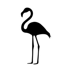 Flamingo silhouette on transparent background