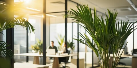 Fototapeta premium Modern office interior, sunlit workspace, glass walls, palm leaves in foreground, minimalist furniture, warm ambient lighting, clean aesthetic, open plan design, contemporary workplace, natural elemen