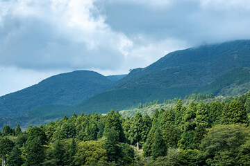 Naklejka premium Captivating landscape featuring lush green forest and majestic mountains shrouded in clouds, offering a tranquil and breathtaking scene