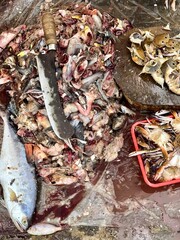 Peeled skin of fresh fishes in market. Top view of fish skins, knife, and wooden board in fish cutting shop in Chennai, Tamilnadu.