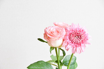 薔薇とガーベラ