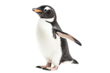 Fototapeta premium PNG Image of side view walking Penguin
