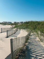 path to the beach in sand North Carolina with fence