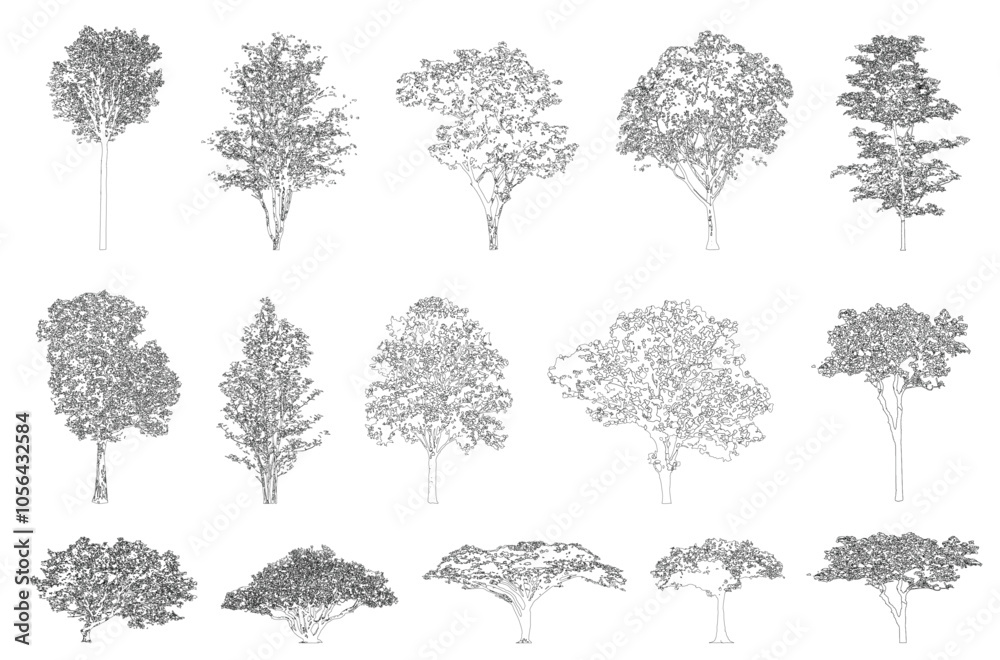 Poster Minimal style cad tree line, Side view, set of graphics trees elements outline symbol for architecture and landscape design drawing. Vector illustration in stroke fill in white. Tropical